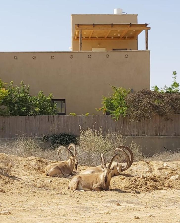 צמח בר Διαμέρισμα Midreshet Ben Gurion Εξωτερικό φωτογραφία